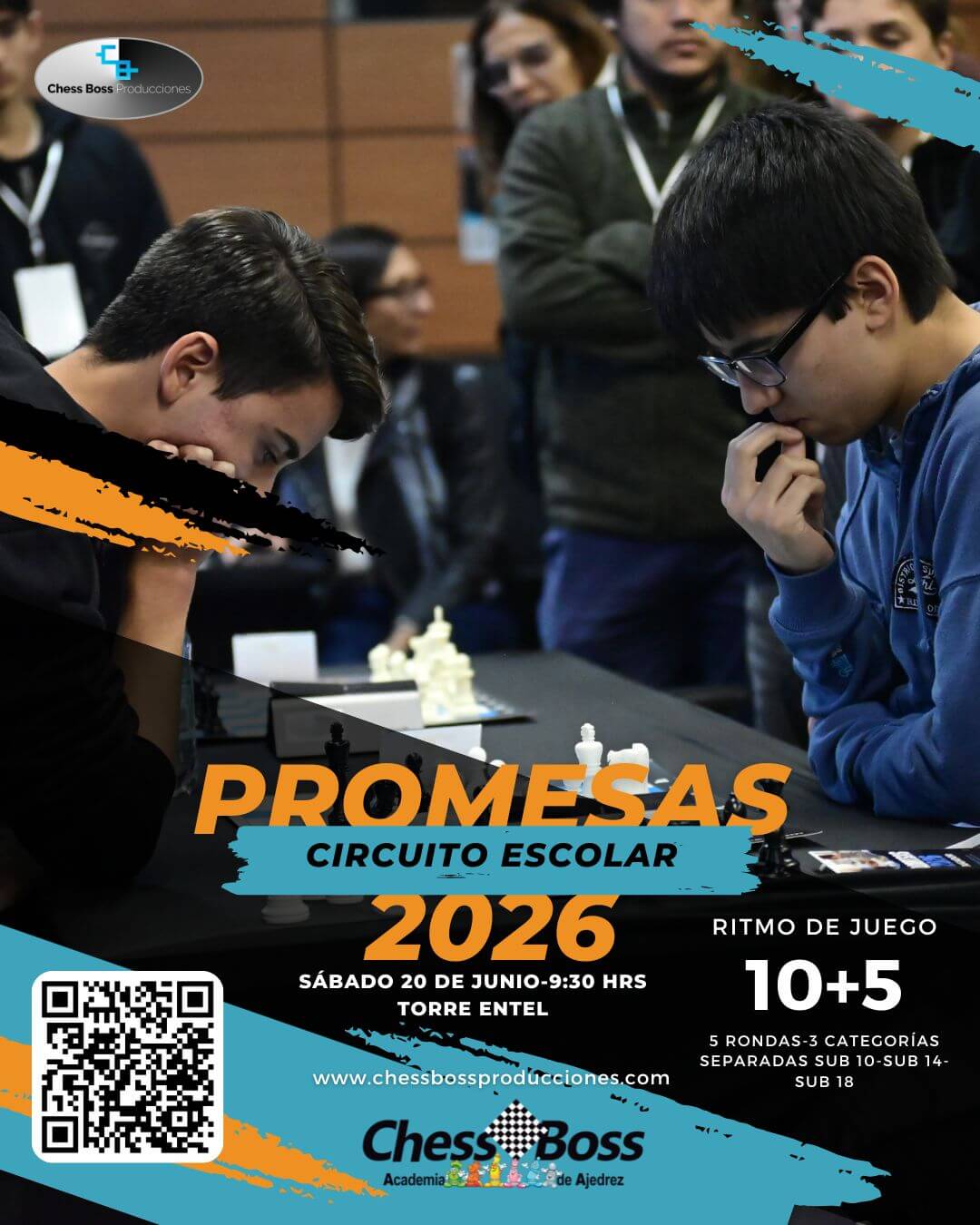 Afiche Promesas